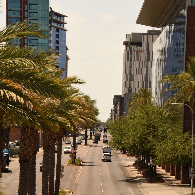 Palm-lined downtown Phoenix street with high-rise buildings, Arizona
