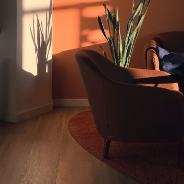 Sunlit living room with armchair and snake plant